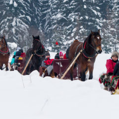 Kulig w Zakopanem– zimowa atrakcja dla młodszych i starszych
