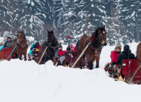 Kulig w Zakopanem– zimowa atrakcja dla młodszych i starszych